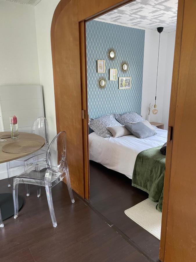 50 M2 T2 Au Calme, Lumineux, Confortable, Cosy, Climatise, Privatif Avec Parking Gratuit Et Terrasse Тулуза Экстерьер фото